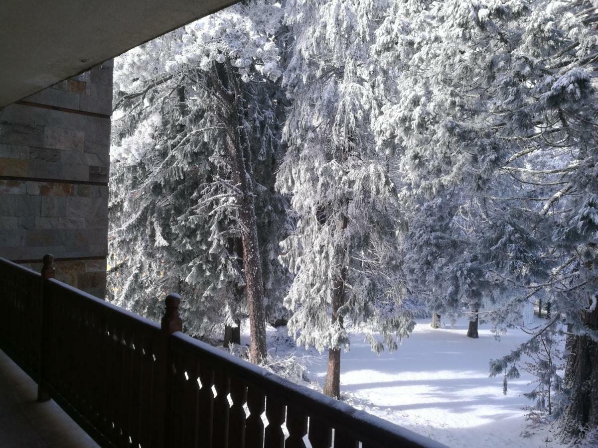 Luxury Apartament In "Sequoia" 2 Borovets Buitenkant foto